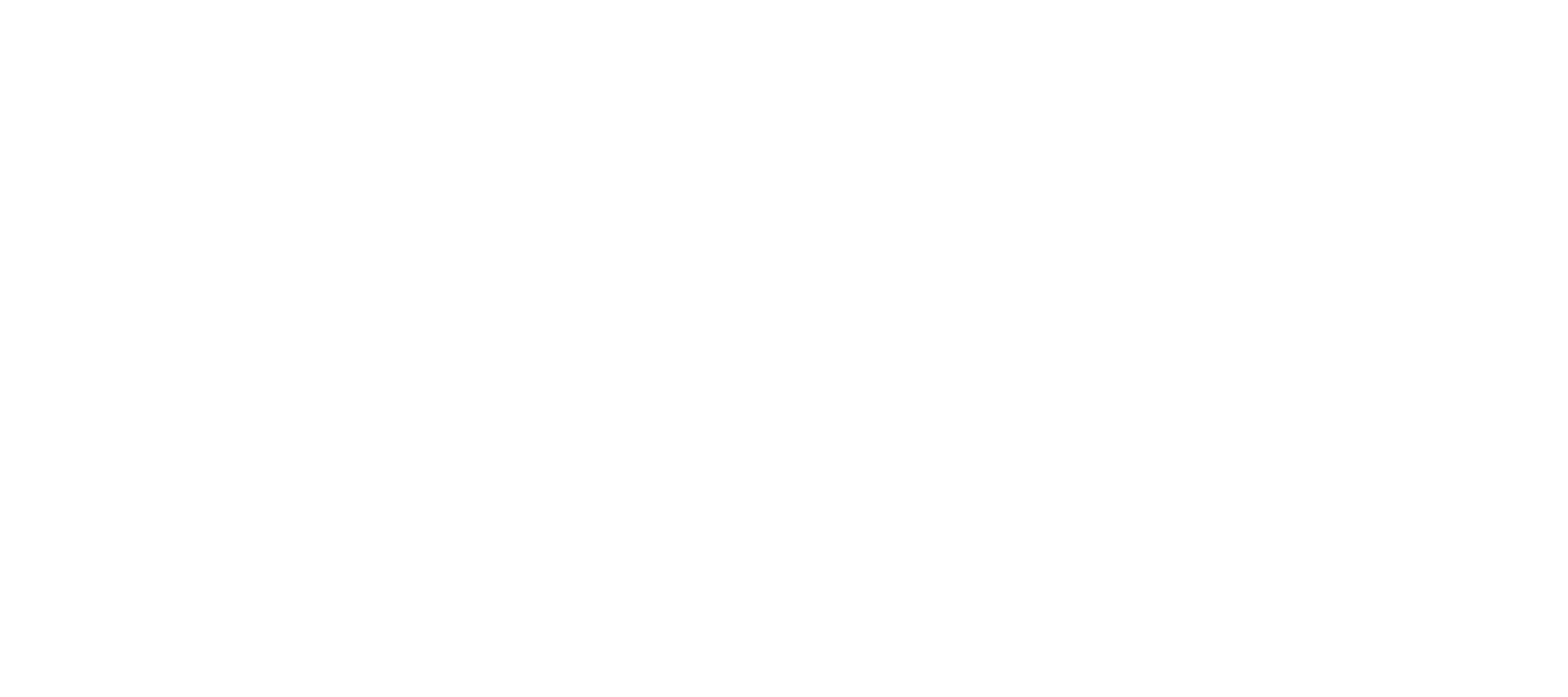 NGD - Partner for Progress